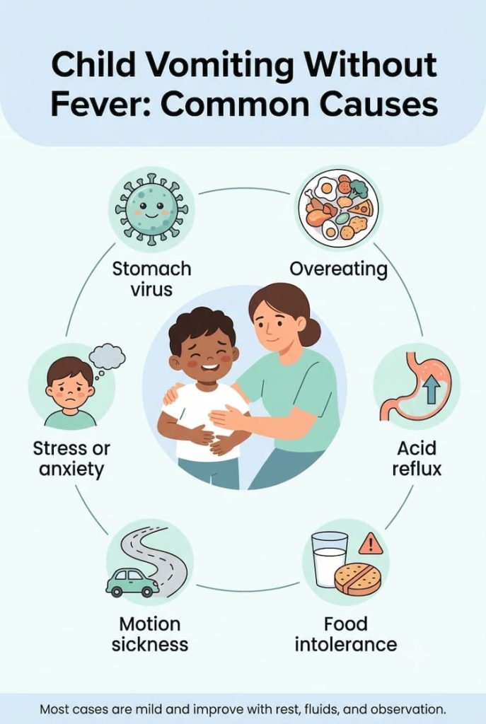 Child Vomiting But No Fever: Causes, Red Flags, and What Parents Should Do Illustrated infographic showing the common causes of vomiting without fever in children, including stomach viruses, overeating, reflux, food intolerance, motion sickness, and stress.